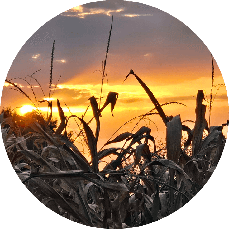 Cap-CO2-Solutions_About-Cap-CO2_A-Vision-for-the-Midwest Cap-CO2-Solutions_About-Cap-CO2_A-Vision-for-the-Midwest