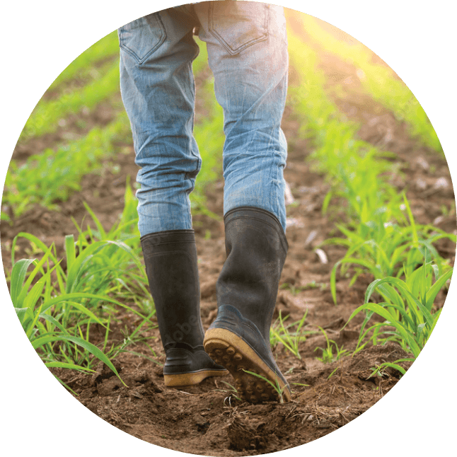 CapCO2-Solutions_Buy_Green-Methanol-where-profit-meets-purpose_boots-field